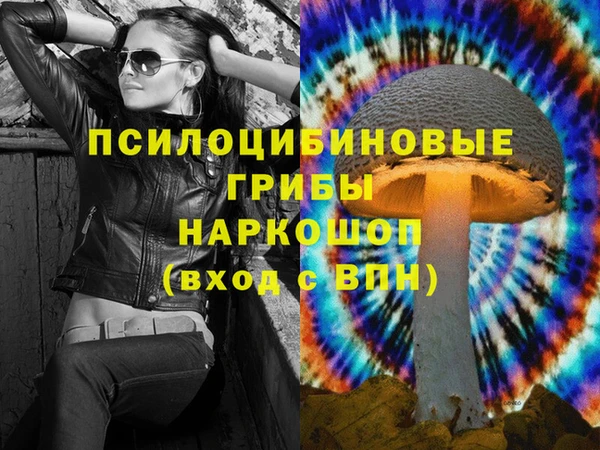 стаф Гусиноозёрск