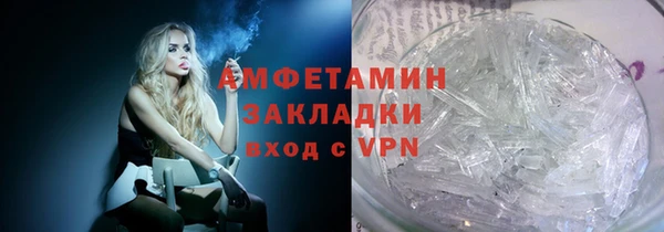 прущие грибы Дмитриев