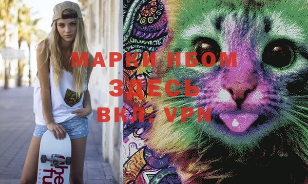молекула духа Дмитров