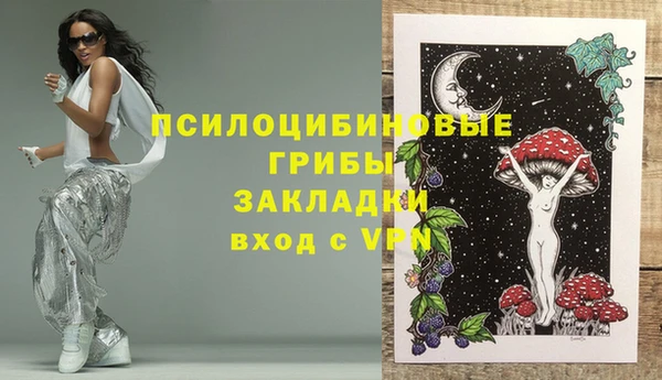 стаф Гусиноозёрск