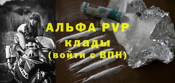 прущие грибы Дмитриев
