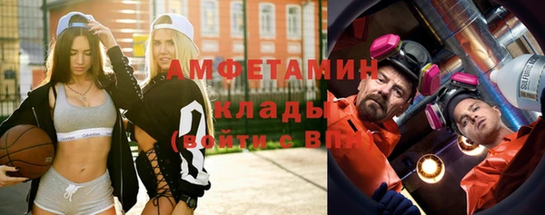 прущие грибы Дмитриев