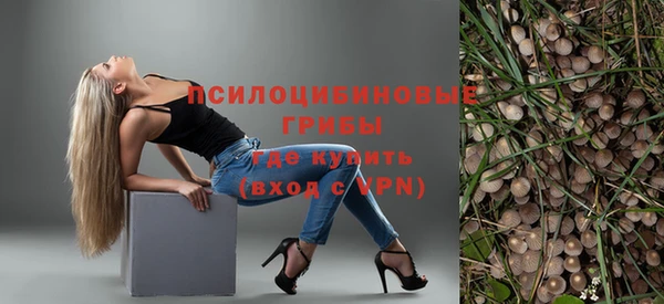 стаф Гусиноозёрск