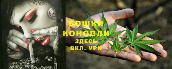мяу мяу мука Гусь-Хрустальный